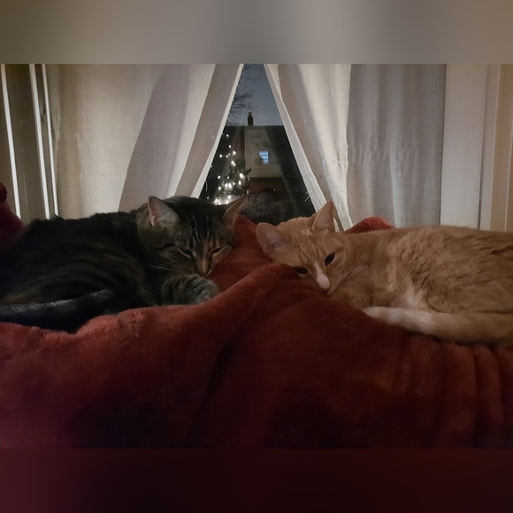 Meet your Posher, Linda - Picture 1 of 1